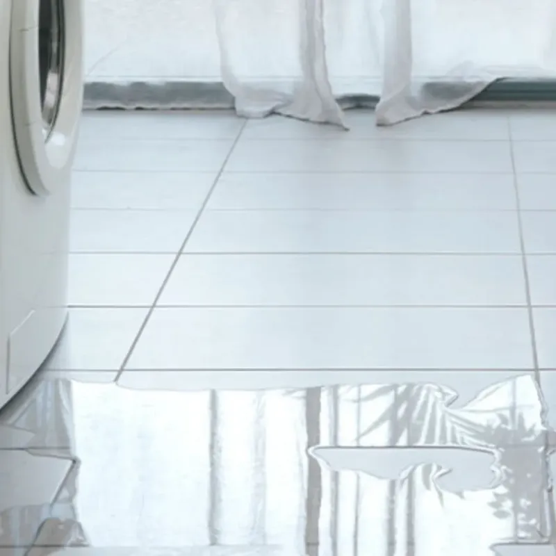 Appliance Leak Cleanup in Knoxville, GA
