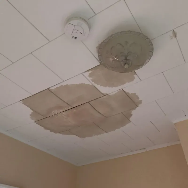 Ceiling Water Damage Repair in Knoxville, GA