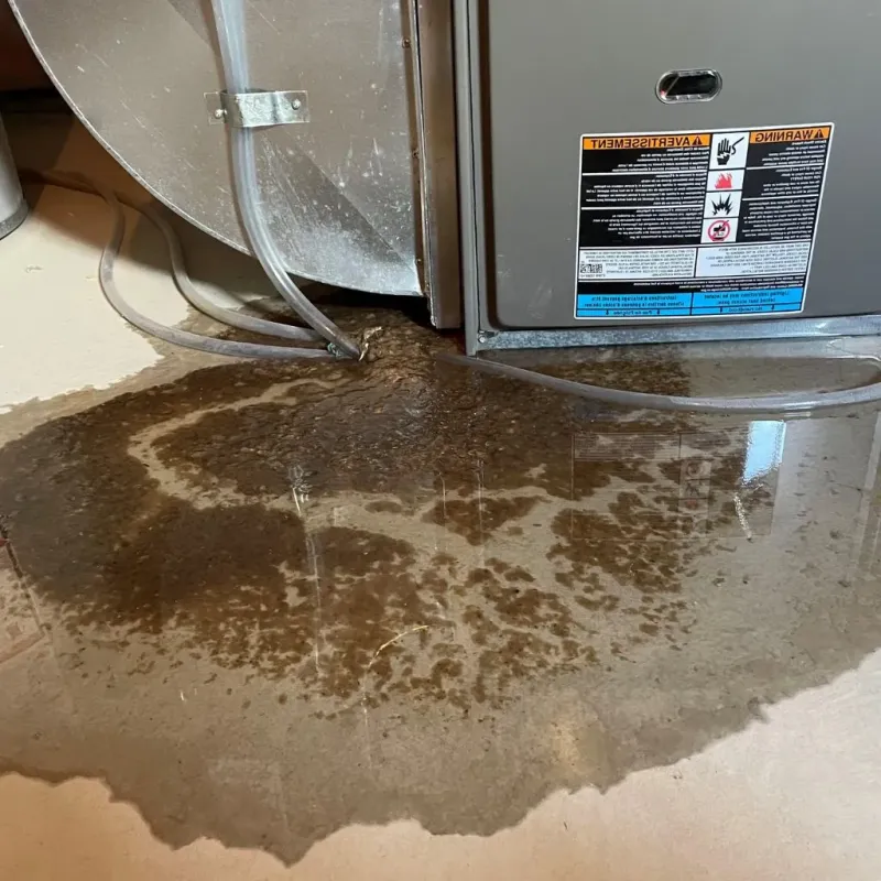 Pipe Burst and Leak Restoration in Knoxville, GA
