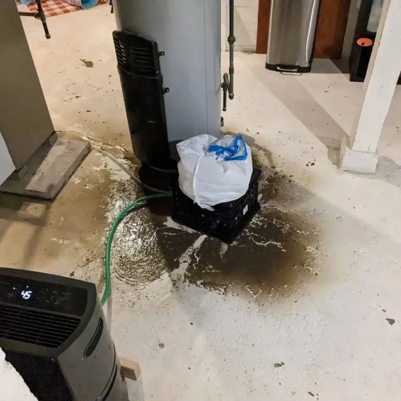 Sewage Backup Cleanup Service in Knoxville, GA